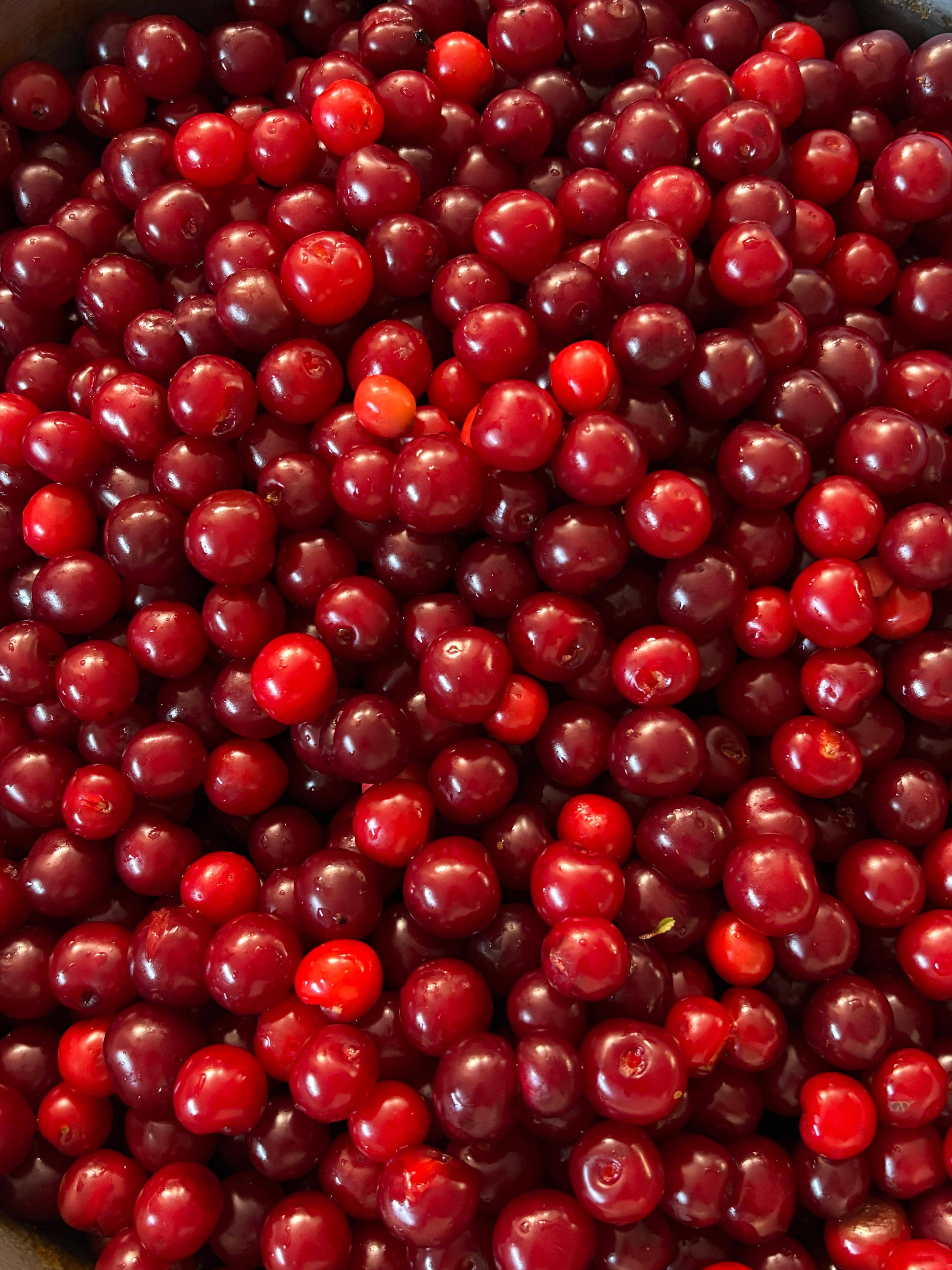 vişne pestili — Muttalip Eker
