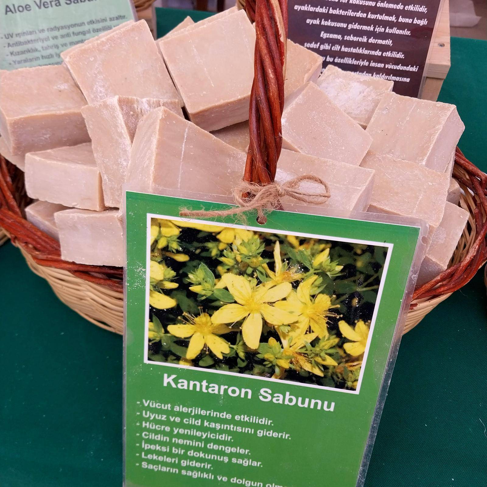 Kantaron Sabunu — Ayşegül Turhan