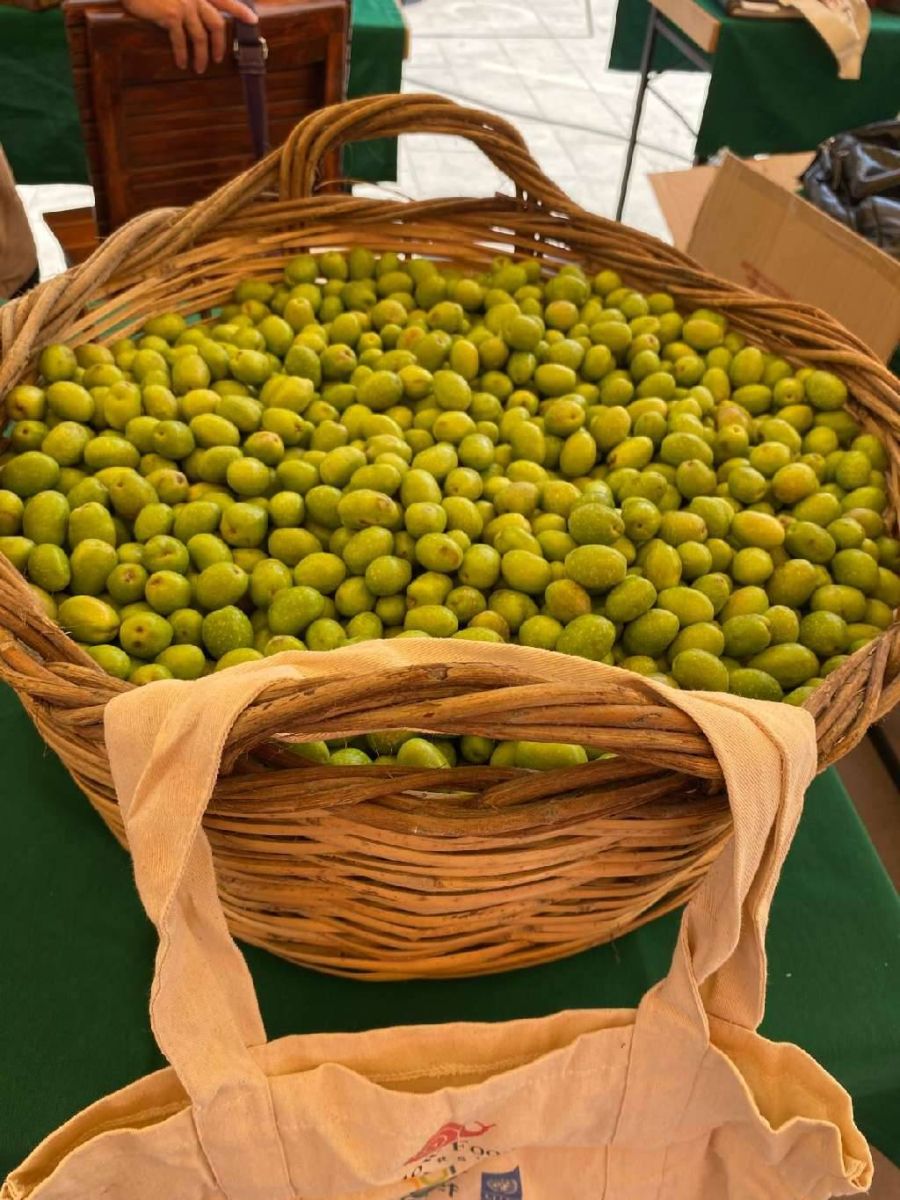 Sarıulak zeytin — Duygu Özkan