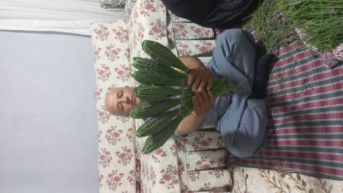 örgülü Lavanta Demeti  — Kahyaoğlu Lavanta Nergis