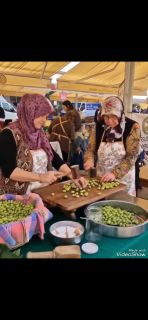 Kocafakı zeytincilik/Mustafa Kalın