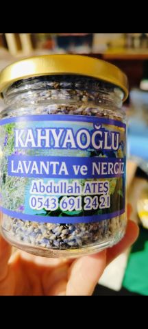 Lavanta — Kahyaoğlu Lavanta Nergis